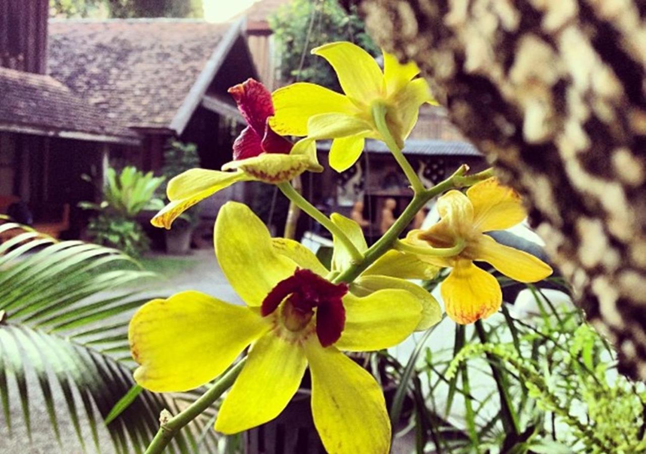 Bed and Breakfast Tanita House Chiang Mai Exterior foto